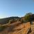 Best view in Orange County 2 thumbnail
