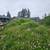ANTONIO LANDSCAPING SERVICES 13 thumbnail