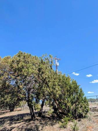 $195,000 / 108900ft2 - Propiedad de caballos cerca de Linden Valley Arena (Show Low)63674876886659122