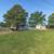Loads of Potential!! Waterfront cottage with 4 docks 14 thumbnail