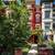 Studio Apartment in Shared Townhouse Available for Rent 1 thumbnail