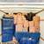 LION PRIDE MOVING ~ PROFESSIONAL MOVERS IN SO-CAL (619) 341-4554 23 thumbnail