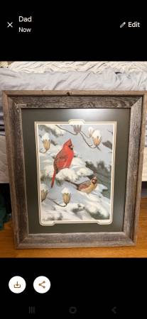 Ned smith cardinal picture 1