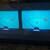 Eversolo DMP-A6 Digital Music Streamer/DAC 1 thumbnail