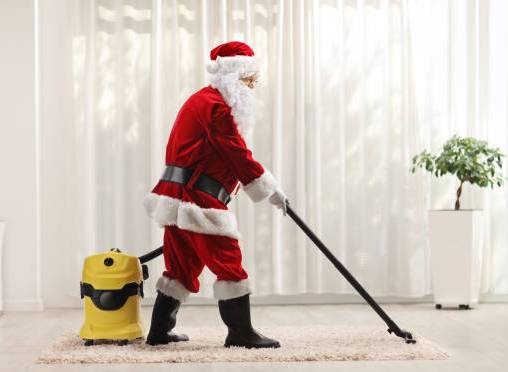 WILL MAKE YOUR HOME CLEAN FOR CHRISTMAS! 1