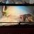 Indonesian Blue Tongue Skink 2 thumbnail