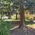 Beautiful 1 bedroom suite in Morgan Hill 7 thumbnail