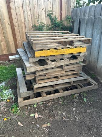 FREE pallets 1