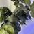 Faux 6' Fiddle Leaf Fig Tree in Woven Basket 4 thumbnail