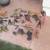 30 piece set of dinosaurs-lizards-snakes birds-etc 1 thumbnail