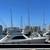 47 Jersey Dawn Sportfisher 7 thumbnail