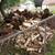 oak firewood-make an offer 2 thumbnail