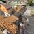 JUNK REMOVAL/TRASH PICKUP/HAULING SERVICE/TRASH REMOVAL/DEMOLITION 20 thumbnail