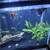 30 gallon fish tank 7 thumbnail