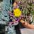 1 gallon Assorted Succulents - 5 for $20 7 thumbnail
