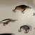 12 Name Brand Crankbait Lures 9 thumbnail
