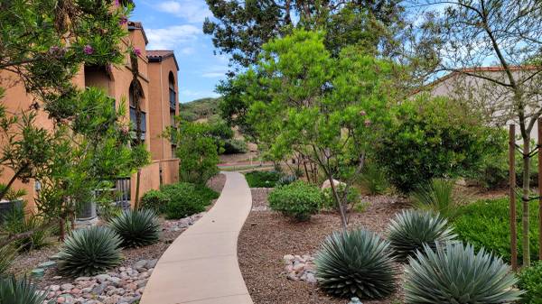 $3,250 / 2br - 847ft2 - 2BR/2BA Lucera UTC Condo - TOP FLOOR, CORNER Unit, Washer/Dryer63878361184129124