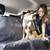 BRAND NEW Kurgo Gray Charcoal Rover Extended Car Hammock 55" WIDE 6 thumbnail