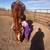 Homeschool Horse Riding Program 2 thumbnail