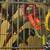 Rehoming 4 Conures 4 thumbnail