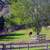 Horse Boarding on Quiet Horse Ranch North County 3 thumbnail