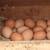 laying hens, chickens for sale 7 thumbnail