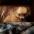 Pomchie puppies 2 thumbnail