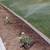 HECTOR LANDSCAPING 🌵TREE🌳PALM🌴SERVICE GARDENING🌱MAINTENANCE🌿 10 thumbnail