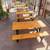 WESTERN RED CEDAR WOOD/METAL FRAME PICNIC TABLE 5 thumbnail