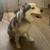 Rehoming Siberian Husky 5 thumbnail