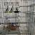 Retail Store Fixtures for Sale 3 thumbnail