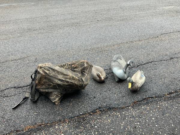 Goose and Duck Decoys 1