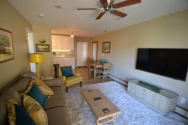 $1,295 / 1br - 600ft2 - R-19 Corp furnished 1 BR center city location (Cincinnati)63974471992450123