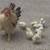 Chicks 2 thumbnail