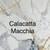 Quartz Surround Panel Set/Calacatta Macchia Gold 1 thumbnail