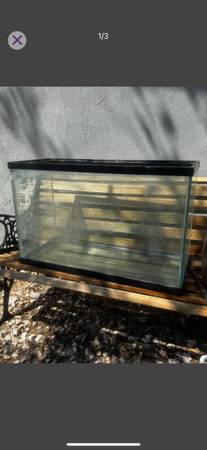 Fish tank (Las Vegas)63860183856899120