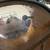 Ludwig marching snare (blue/olive badge) 6 thumbnail