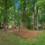 Two and three-bedroom townhomes, Hardwood floors 2 thumbnail