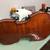 Violin 1 thumbnail