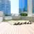 2x2 Apt. near Hayes Valley. $2,000 OFF 1ST MONTHS RENT! 14 thumbnail