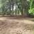 MULCHING, DEBRIS REMOVAL, BUSH HOGGING AND LAND CLEARING 22 thumbnail