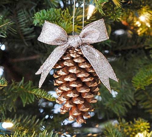 Pine Cones Great for Crafting 1