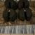 Free Bow flex dumbbells  weight plates 2 thumbnail