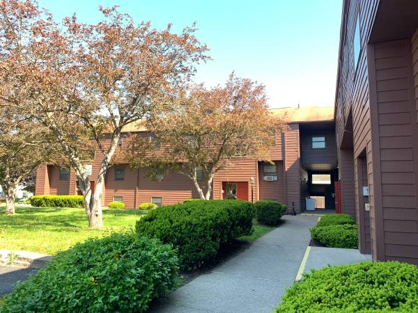 $800 / 1br - 800ft2 - 1BR with Balcony Endicott Municipal Electric Area (Endicott)64035576011777120