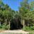 17 acres backs to State Park in Hillsboro, MO 2 thumbnail