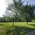 0.63 - Acre Residential Lot in Crown Point IN. CONTRACT FOR ASSIGNMENT 4 thumbnail
