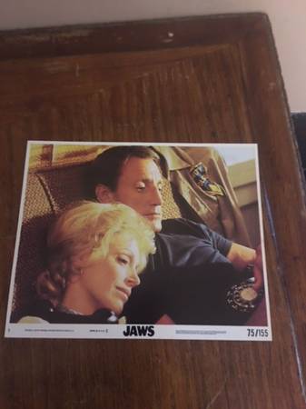 "Jaws" 30 year old photo journal 1