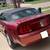 2007 Ford Mustang Convertible 5 thumbnail