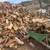 FIREWOOD 6 thumbnail
