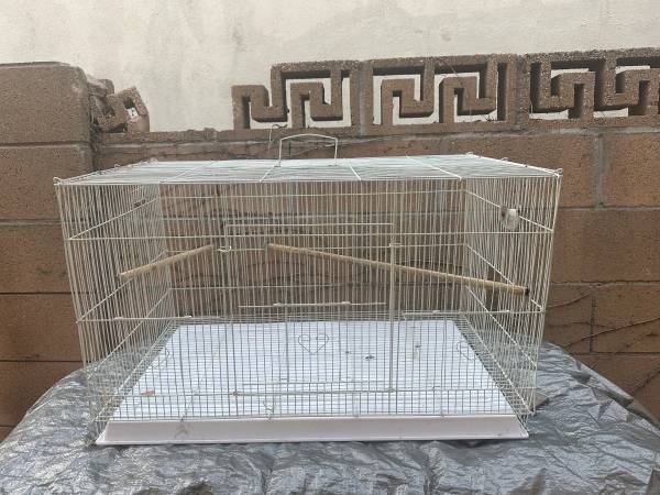 Bird cage 1